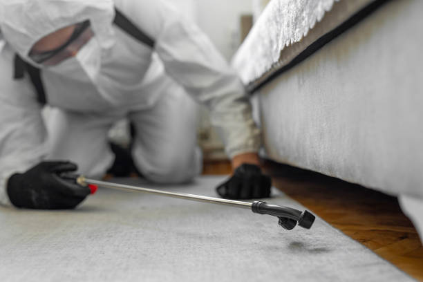 Professional Termite Control technician working in Coram, NY