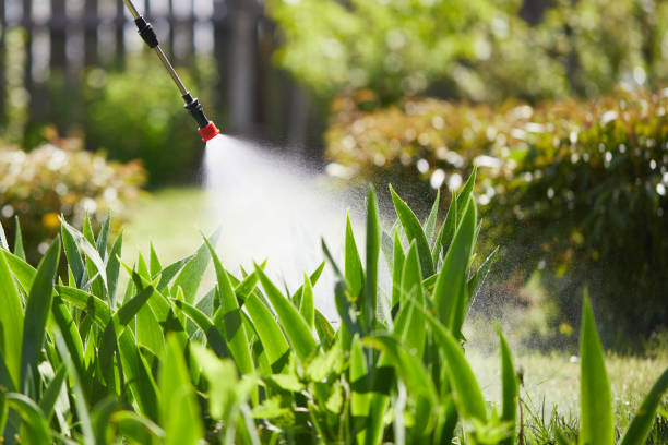 24/7 Emergency Termite Control experts in Coram, NY